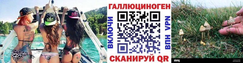 Галлюциногенные грибы мицелий  Сухой Лог 